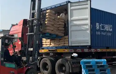لماذا يستورد المشترون الكوريون الجنوبيون نشا البطاطا الحلوة من شركة Lulong؟ نظرة على عملية التحميل والشحن في صناعة البطاطس Tongyou